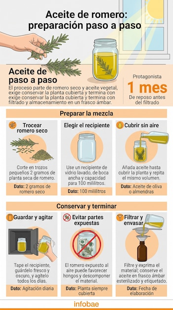 Infografía explicativa con ilustraciones de ramas de romero, frascos de vidrio, recipientes y recuadros con texto.