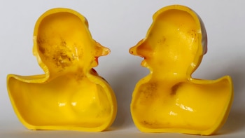 Estos juguetes podrían acumular microorganismos