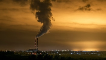 Investigadores destacan el potencial de