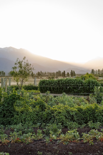 La chef Ana Ortuño resalta