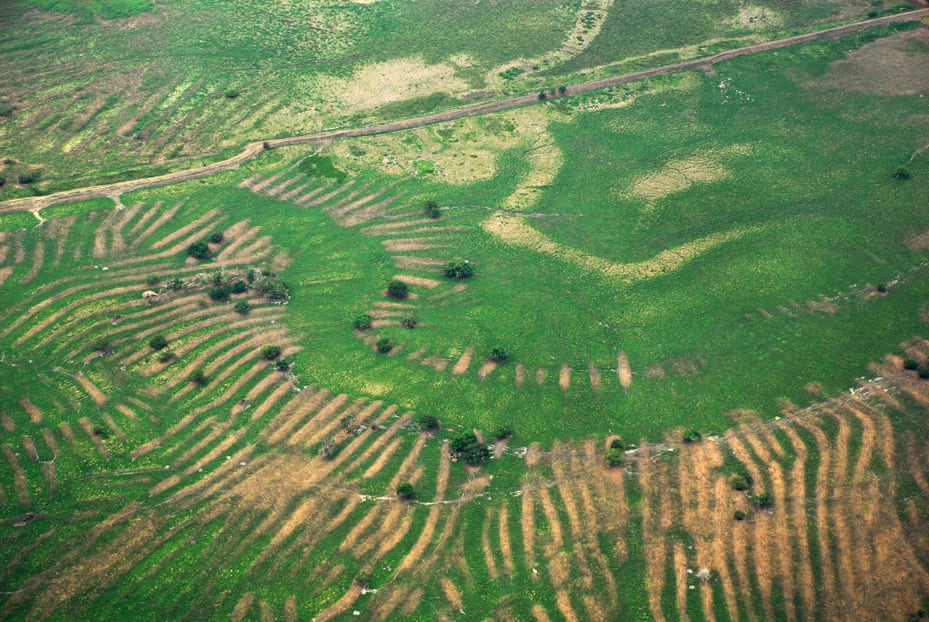 Los canales y campos elevados de La Mojana durante un periodo seco - crédito Sebastián Schrimpff, cortesía del Museo del Oro, Banco de la República