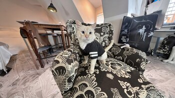 Grant conoció a Don Juan