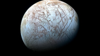 Los coautores del estudio, entre