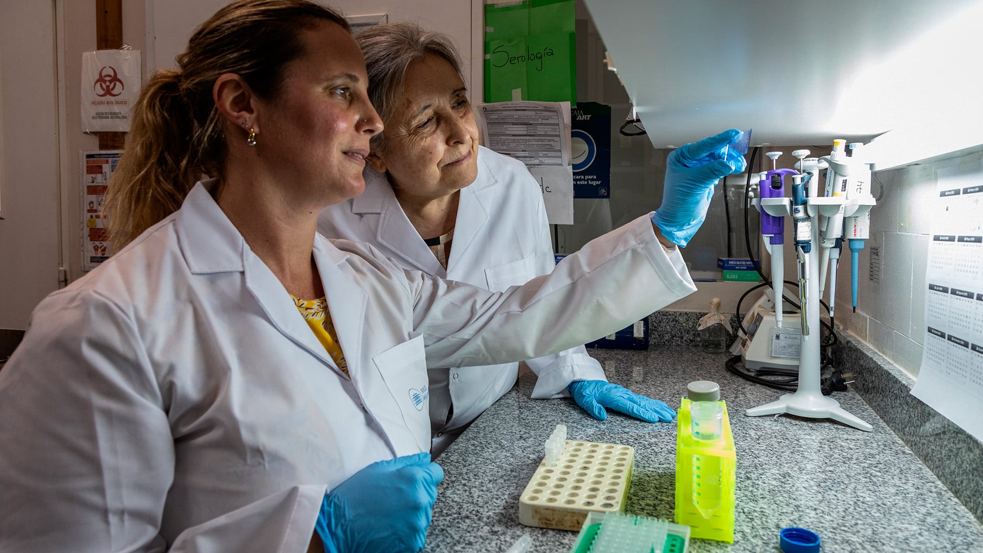 Las científicas Cristina Canteros y Mariana Viale, del Departamento Micología de ANLIS/Malbrán en la Argentina evaluaron un test rápido en muestras de perros para diagnosticar la infección coccidioidomicosis, conocida como fiebre del Valle/ANLIS/Instituto Malbrán