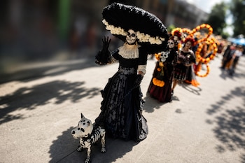 Persona vestida de Catrina con traje negro, sombrero amplio y figura de perro esqueleto, seguida por otros participantes en una calle.