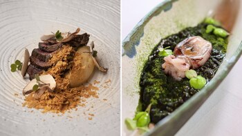 Platos de Citrus, el restaurante