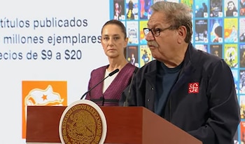 Destacó la necesidad de estrategias