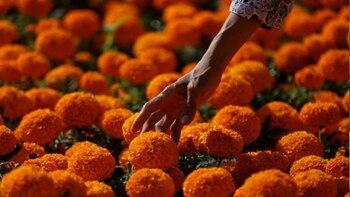 Imagen de archivo. Una mujer