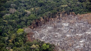 Si todo el mundo consumiera