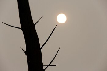 La ciudad de Concepción tiene