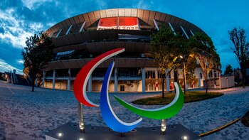 Todo lo que tienes que