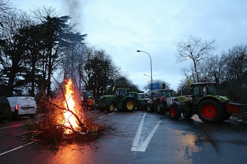 Manifestantes prendieron ramas para cortar