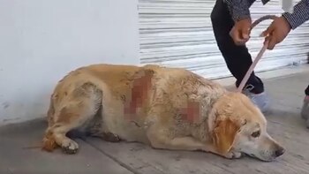 Crédito: Captura de pantalla /