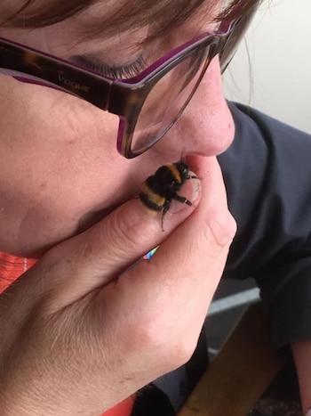 La relación entre Fiona y