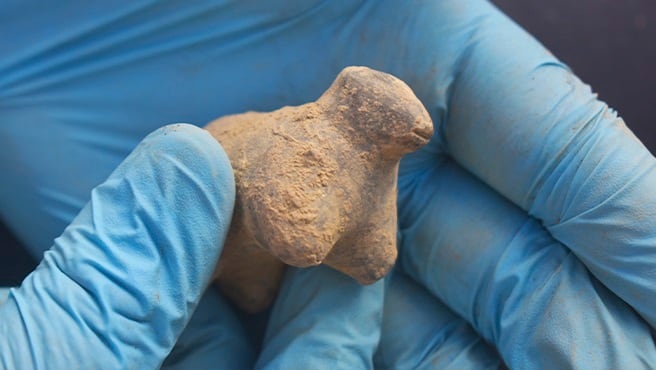 Las piezas fueron recuperadas durante excavaciones arqueológicas en Amazonas y presentan características semejantes a las llamadas conopas o illas conopas. Difusión