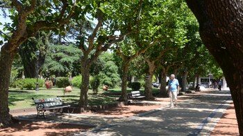 Para los autores, el plan