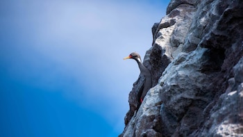 En la Reserva Natural Cabo