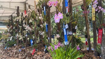 En Bogotá se realiza la