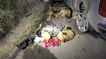 ONU-DH pidió a México investigar