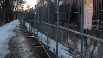 Trump aprueba una declaración de