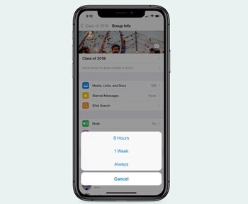 23/10/2020 Silenciar notificaciones de chats
POLITICA