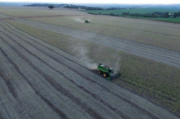 El sector agrícola esperaba que un eventual gobierno de Bolsonaro redujera los tipos de interés mediante el recorte del gasto público. (REUTERS/Rodolfo Buhrer/Archivo)