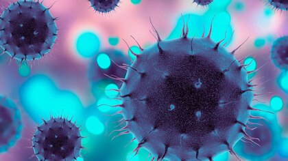 Gripe aviar: científicos avanzan en el desarrollo de una vacuna experimental basada en ARNm 
