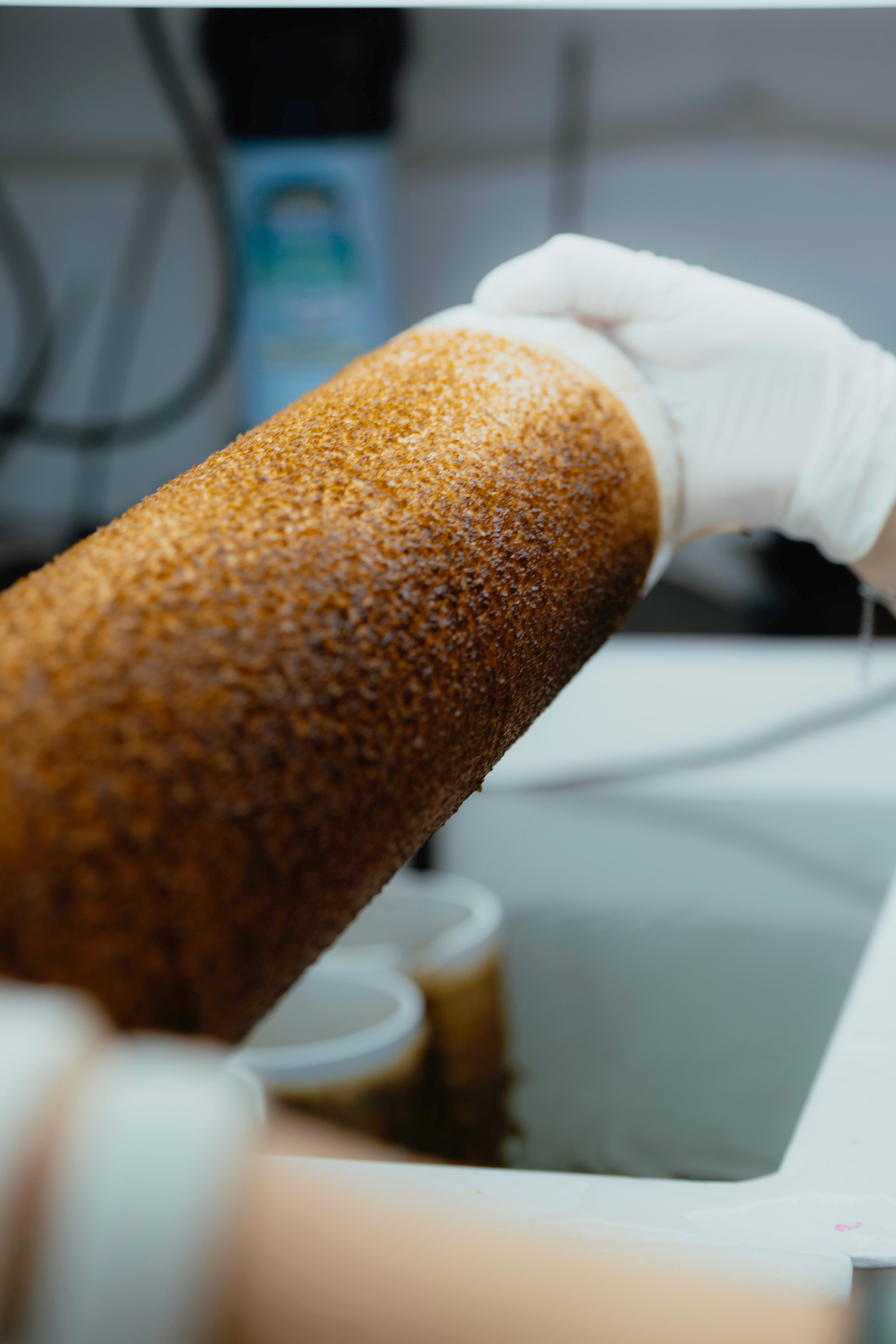 Las algas macrocystis en la etapa de criadero. Van al mar alojadas en un hilo montado sobre un tubo de PVC, y en el agua sobrevive entre el 1% y el 2% de los ejemplares. Foto: Ailín Peirone / Fundación Por El Mar