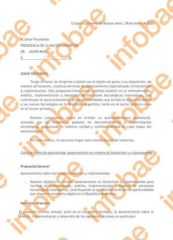 Un documento blanco con texto impreso en español que detalla una carta de intención para asesoramiento en blockchain y criptomonedas, dirigida al Presidente Javier Milei