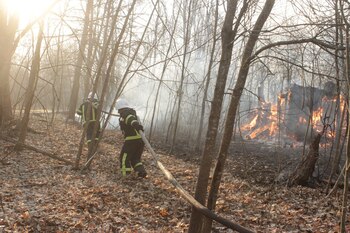 Bomberos en la zona de