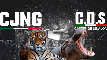 CJNG y Cártel de Sinaloa