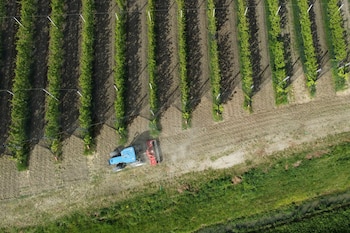Un agricultor trabaja maniobrando su