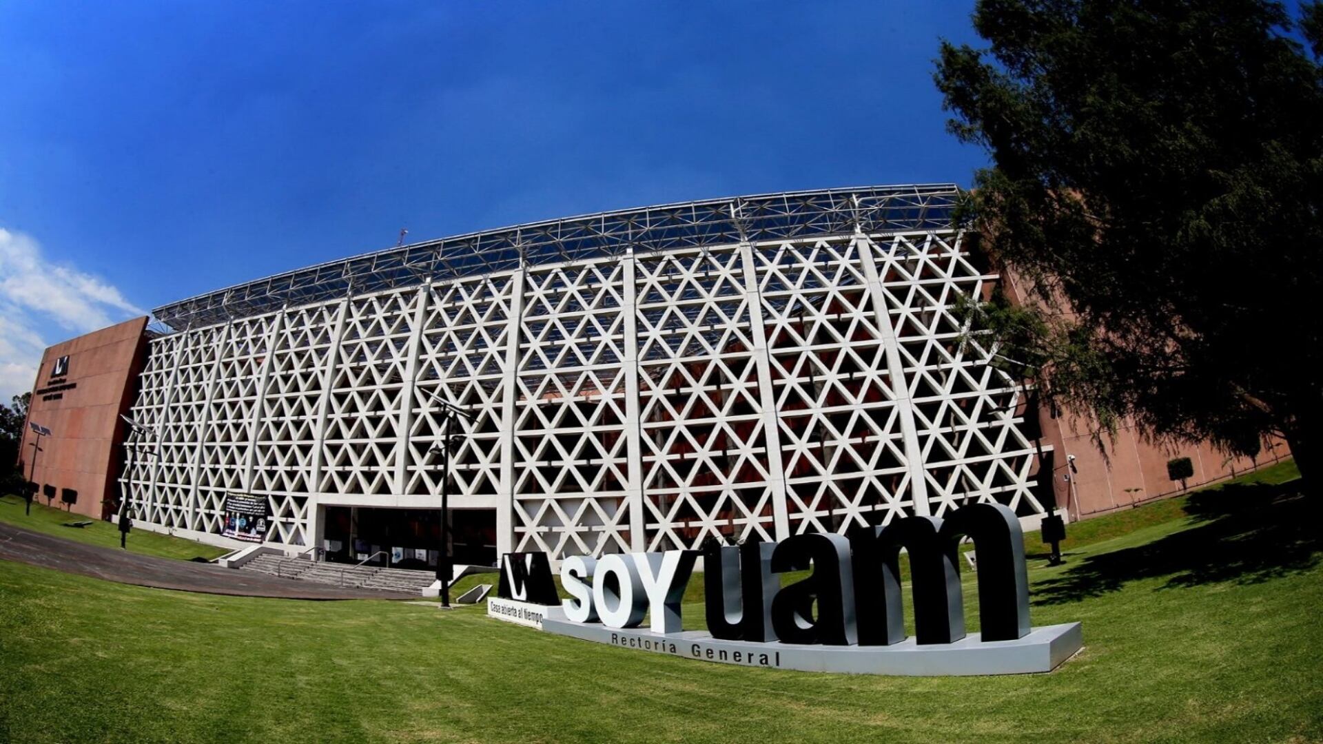 Checa tu estatus en línea paso a paso y qué significa cada mensaje que aparecerá en pantalla y qué hacer si no resultaste seleccionado