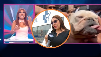 Magaly Medina exige respuestas a la alcaldesa por los 48 perros sin ubicar tras el rescate en San Juan de Miraflores: “¿A quiénes se los dieron?”