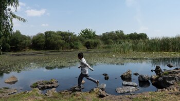 El agua de los manantiales