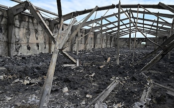 Odessa, como uno de los