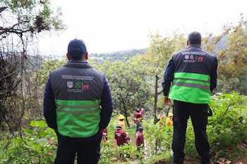 Operativo interinstitucional en Los Dinamos, al sur de la CDMX. Foto: Jefatura de Gobierno