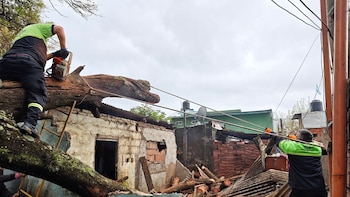 Un árbol cayó sobre una vivienda y destruyó dos casas en Rosario: una madre y sus hijos quedaron atrapados