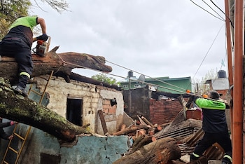 Un árbol cayó sobre una vivienda y destruyó dos casas en Rosario: una madre y sus tres hijos quedaron atrapados