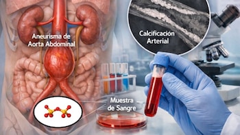 Identifican nuevos factores biológicos implicados