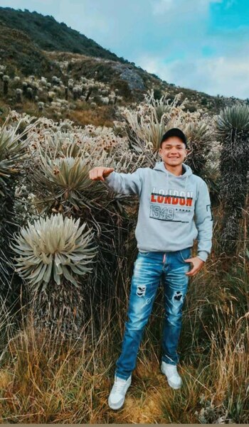 A través de las redes