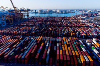 Entre las iniciativas previstas se