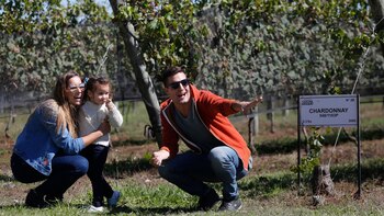 Disfrutar de la naturaleza y