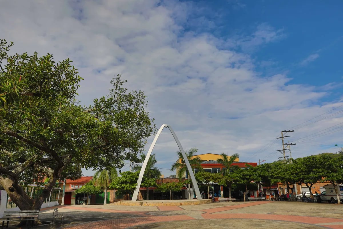 El Árbol de Cují recibió la declaración de patrimonio histórico municipal de Anapoima en 1997 - crédito Gobernación de Cundinamarca/Alcaldía Municipal de Anapoima