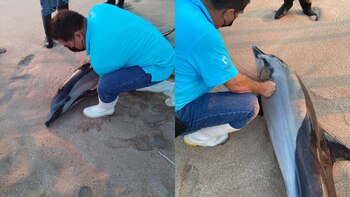 El angustiante momento en el