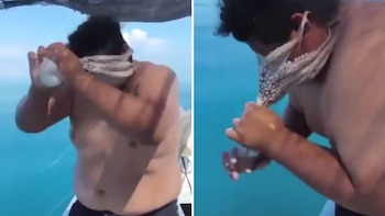 Pescador yucateco captura un pulpo y termina con el animal pegado en la cara: así logró quitárselo