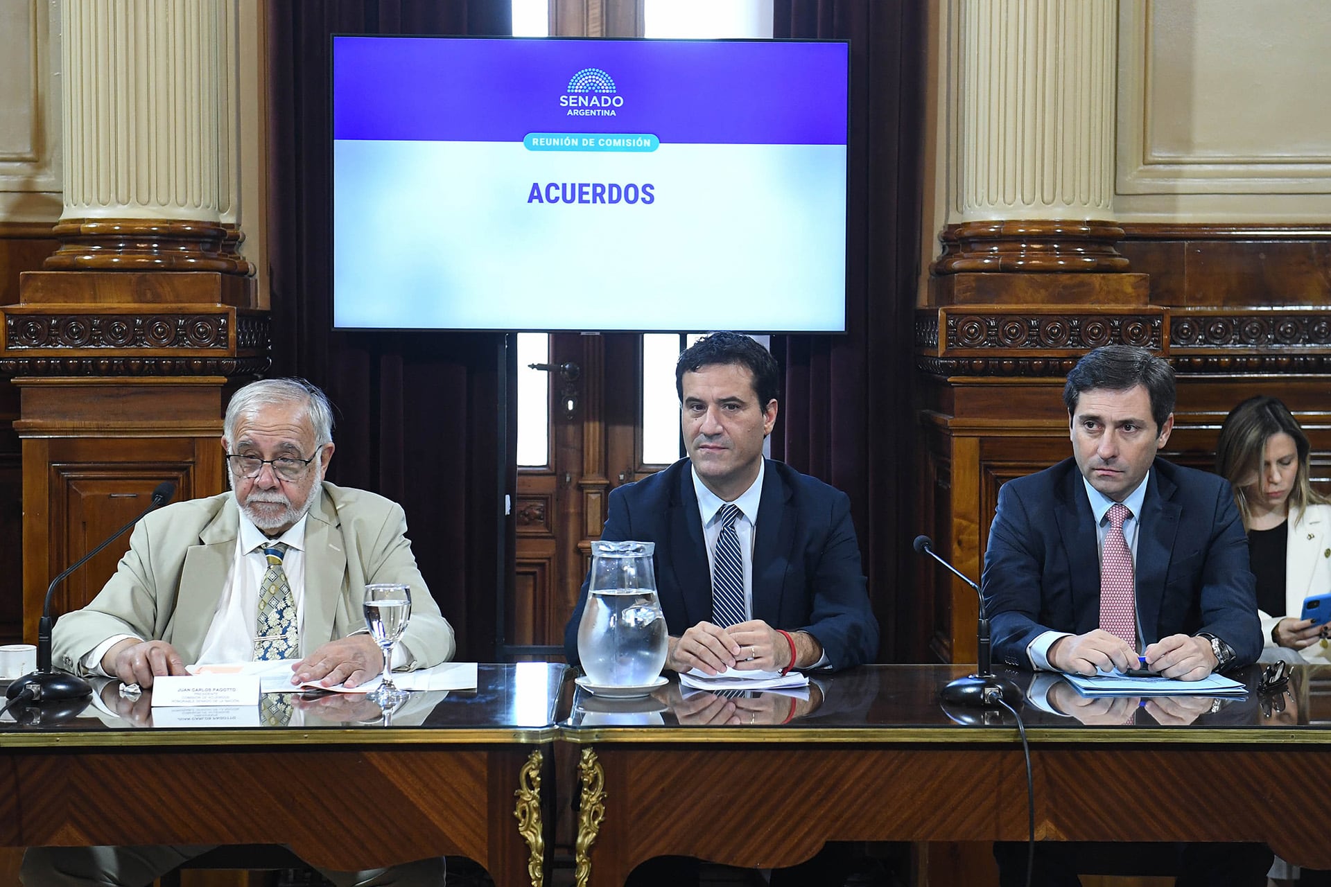 Las autoridades de la comisión de Acuerdos: Juan Carlos Pagotto (LLA), Maximiliano Abad (UCR) y Martín Goerling (PRO)