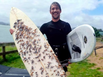 La travesía de una tabla