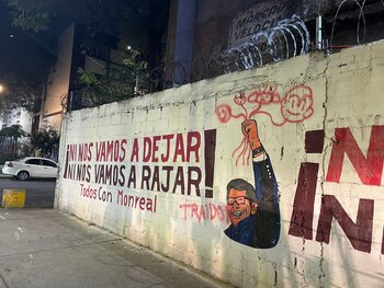 Algunas de las bardas fueron