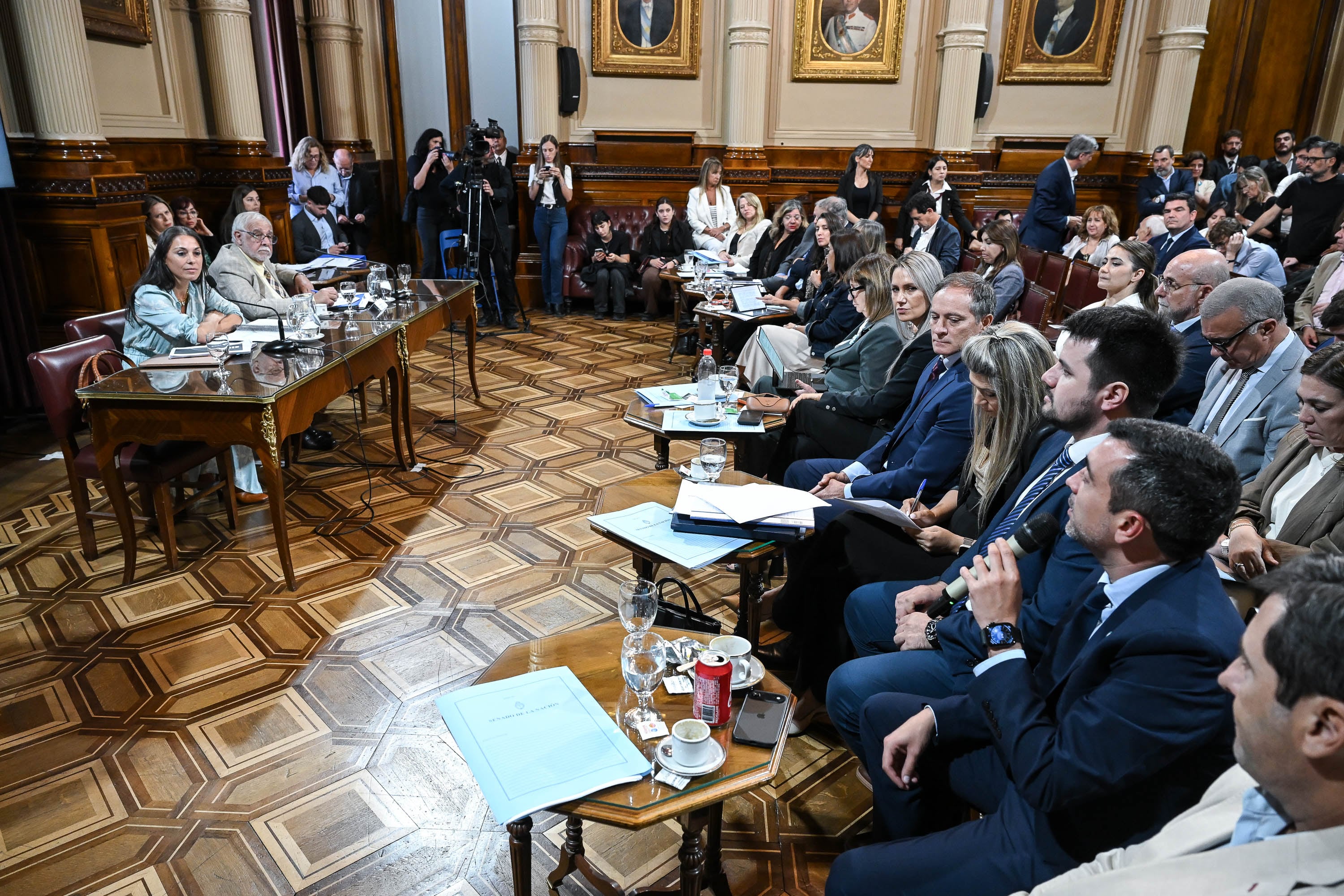 Reunión de la Comisión de Acuerdos del Senado de la Nación, en el salón Illia del Congreso Nacional, el 26 de Febrero de 2026, en Buenos Aires; Argentina (Fotos: Santiago Pezzini / Comunicación Senado)